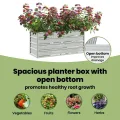 vidaXL Garten Hochbeet Pflanzkasten Pflanzbeet Gemüsebeet Blumenbeet Blumenkasten Frühbeet Gartenbeet Blumenkübel Pflanzkübel 100x40x45cm Verzinkter Stahl Silbern - Thumbnail 6