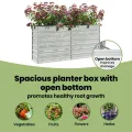 vidaXL Garten Hochbeet Pflanzkasten Pflanzbeet Gemüsebeet Blumenbeet Blumenkasten Frühbeet Gartenbeet Blumenkübel Pflanzkübel 160x40x77cm Verzinkter Stahl Silbern - Thumbnail 6