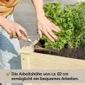 zooprinz Premium Hochbeet mit praktischen Rollen – aus massivem Kiefernholz – perfekt für Garten/Terrasse/Balkon – mit Stabiler Ablage und Innenvlies – Hochbeet XXL - Thumbnail 6