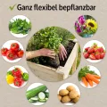 zooprinz Premium Hochbeet mit praktischen Rollen – aus massivem Kiefernholz – perfekt für Garten/Terrasse/Balkon – mit Stabiler Ablage und Innenvlies – Hochbeet XXL - Thumbnail 3