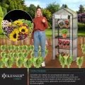 KESSER® Premium Foliengewächshaus Gewächshaus mit 4 Etagen - 69 x 50 x 158 cm Treibhaus mit 4 Regalen - Platzsparend, Hochwertiges Anzuchthaus Garten Balkon Stabil & Einfach zu Montieren - Thumbnail 6