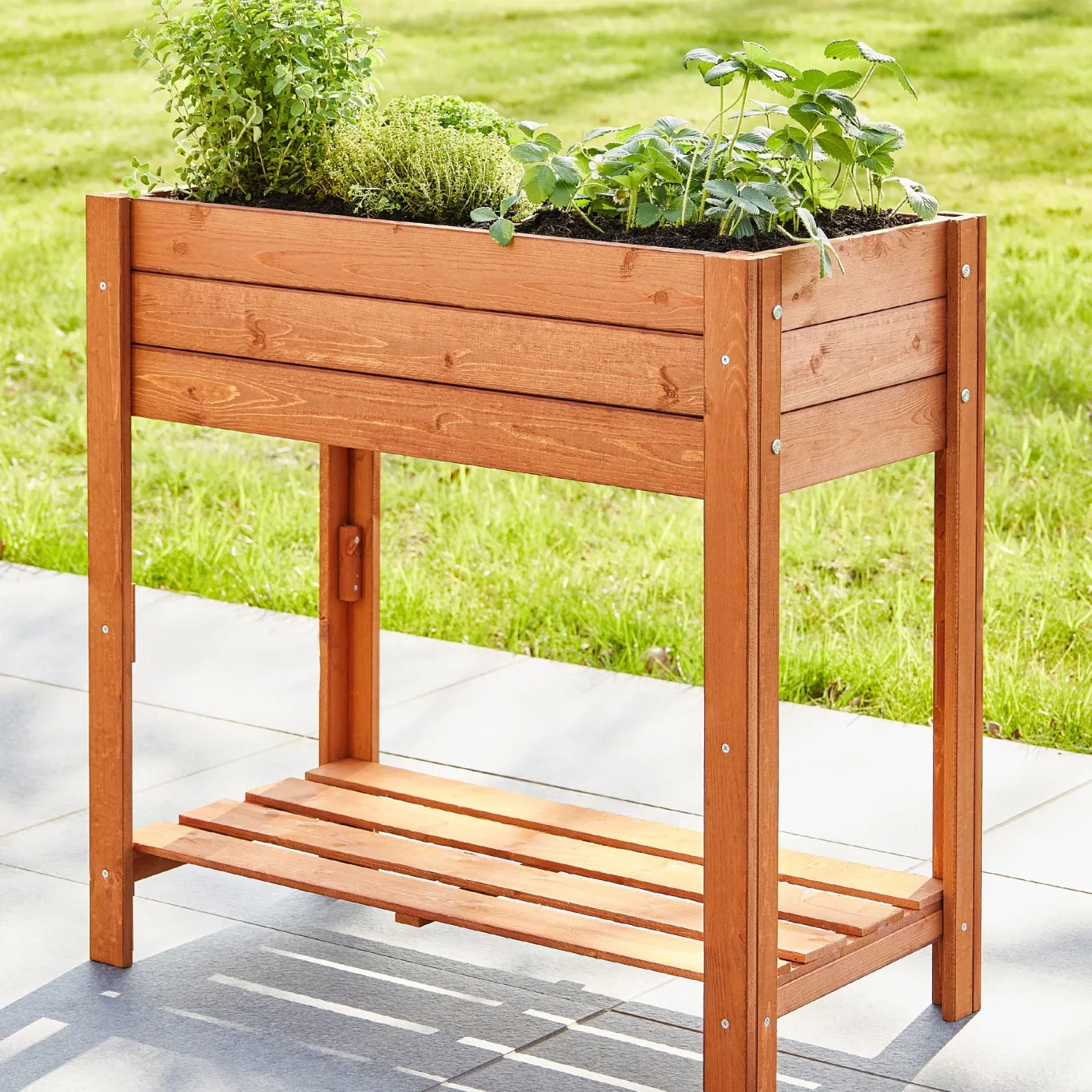 zooprinz Premium Hochbeet – aus massivem Kiefernholz – perfekt für Garten/Terrasse/Balkon – mit Stabiler Ablage und Innenvlies – Zwei Modelle zur Wahl -Hochbeet (Braun lasiert) - Bild 1