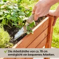 zooprinz Premium Hochbeet – aus massivem Kiefernholz – perfekt für Garten/Terrasse/Balkon – mit Stabiler Ablage und Innenvlies – Zwei Modelle zur Wahl -Hochbeet (Braun lasiert) - Thumbnail 4