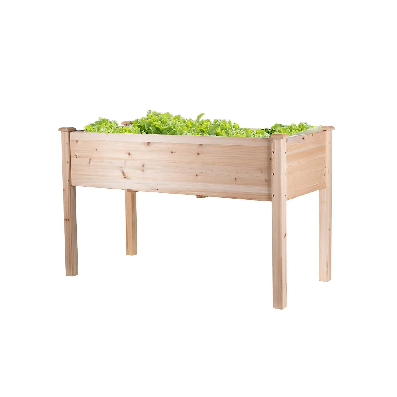 empasa Hochbeet Blumenkasten Kräuterbeet Frühbeet Pflanzkübel Pflanzkasten aus Holz für Garten, Balkon und Terrasse, Ausführung:Raise 1-125 x 59 x 76 cm - Bild 1