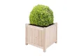 empasa Hochbeet Blumenkasten Kräuterbeet Frühbeet Pflanzkübel Pflanzkasten aus Holz für Garten, Balkon und Terrasse, Ausführung:Bloom L - 45 x 45 x 45 cm - Thumbnail 1