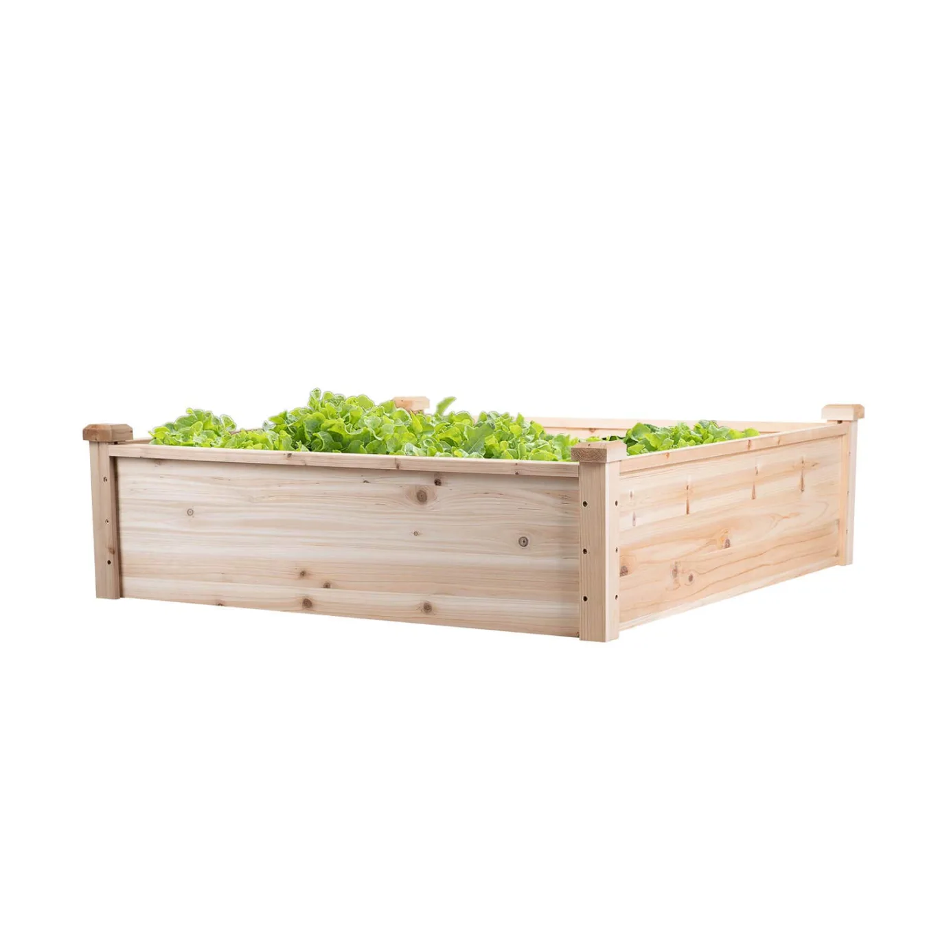 empasa Hochbeet Blumenkasten Kräuterbeet Frühbeet Pflanzkübel Pflanzkasten aus Holz für Garten, Balkon und Terrasse, Ausführung:Classic - 102 x 102 x 30 cm - Bild 1