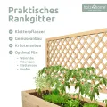 holz4home® Pflanzkasten mit Rankgitter XL aus Kiefernholz I 44x128x104 cm I inkl. Gartenhandschuhe & Vlies I Pflanzkübel mit Spalier I Hochbeet für Balkon als Sichtschutz I Blumenkasten - Thumbnail 3