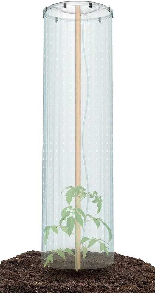 PAFEN 2X Schutzfolie für Tomatenpflanze Pflanzkübel - Tomatenschutzfolie Pflanzenschutzfolie Tomato Grower Pflanzen Tomate Garten Terrasse – Bild 4