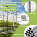 HENGMEI 14x Polycarbonat Platte Doppelstegplatten Transparent 4 mm PC Hohlkammerstegplatten Witterungsbeständig und UV-beständigen für Gewächshaus, Garten Treibhaus, 10,25 m² - Thumbnail 6