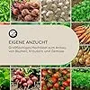 blumfeldt Hochbeet, Großes Kräuterbeet Einfacher Aufbau, Garten & Balkon, Freistehendes Gemüsebeet für Blumen, Obst & Gemüse, aus Metall, Gartenbeet 160 x 80 x 80 cm, Grau - Thumbnail 2