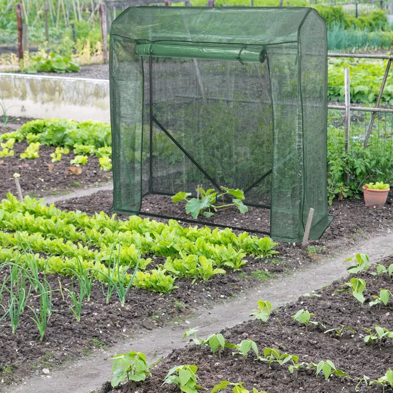 Relaxdays Tomaten Gewächshaus, HBT: 154 x 152 x 50 cm, Eisen & PE-Gitterfolie, stabiles Foliengewächshaus Garten, grün – Bild 2