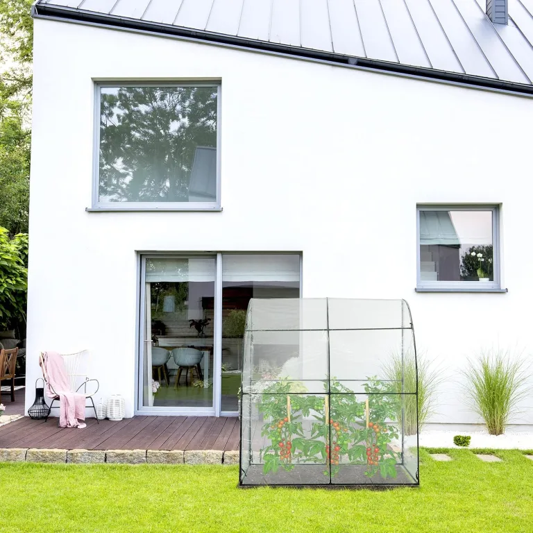 Relaxdays Tomatengewächshaus, PVC-Folie, HBT: 215 x 200 x 100 cm, begehbares Foliengewächshaus, transparent/schwarz – Bild 2
