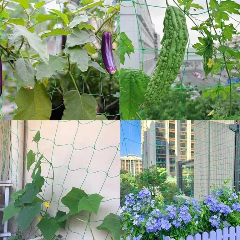Rankhilfe Gurken Ranknetz für Gurken - Rankhilfe Garten Tomaten, Sehr Passend Netz für Kletterpflanzen Gewächshaus Zubehör, Pflanzennetz 180x270 für Garten Gewächshaus – Bild 6