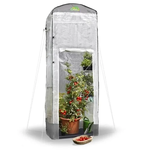 Bio Green Foliengewächshaus Patioflora 120 für Terrasse und Garten | Pflanzzelt ganzjährig einsetzbar | UV-beständig | 4 Belüftungsöffnungen | hohes Überwinterungszelt | L 120 x B 120 x H 300 cm – Bild 3