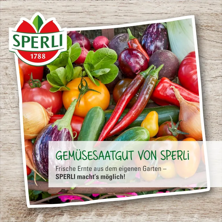 Sperli 83371, Tomate Harzfeuer F1, Portionssaatgut, bewährte Salat-Tomate, schnittfeste Früchte, süß-aromatisch im Geschmack – Bild 6