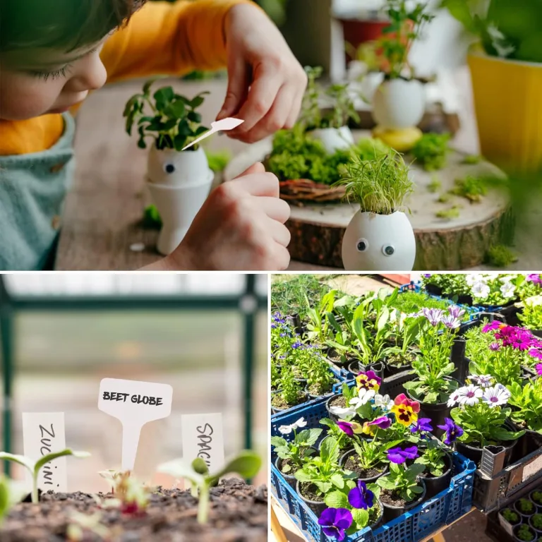 100 Stück Pflanzenschilder, 2 Formen Pflanzenstecker zum Beschriften Pflanzen Beschriftungsschilder Pflanzschilder für Draussen Wetterfest(T- und Pfeilform) – Bild 7