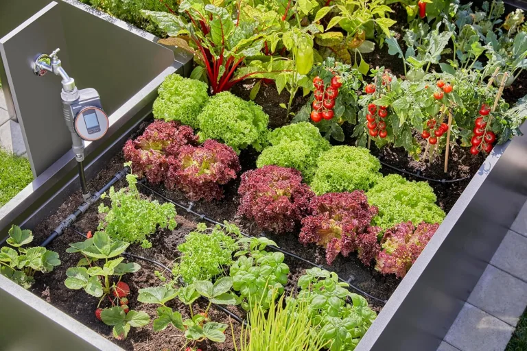 Gardena Micro-Drip-System Tropfbewässerung Set Hochbeet/Beet (35 Pflanzen): Starter-Set sofort einsatzbereit, wassersparendes Bewässerungssystem, einfache & flexible Verbindungstechnik (13455-20) – Bild 8