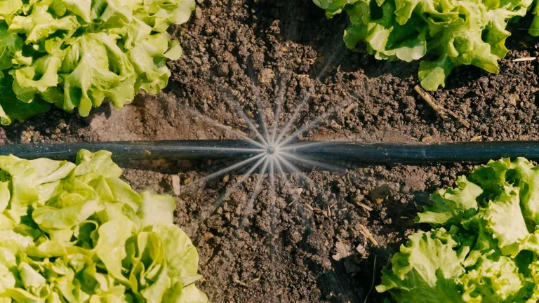 Gardena Micro-Drip-System Tropfbewässerung Set Gemüse-/Blumenbeet (60 m²): Starter-Set sofort einsatzbereit, wassersparendes Bewässerungssystem, einfache & flexible Verbindungstechnik (13450-20) – Bild 7