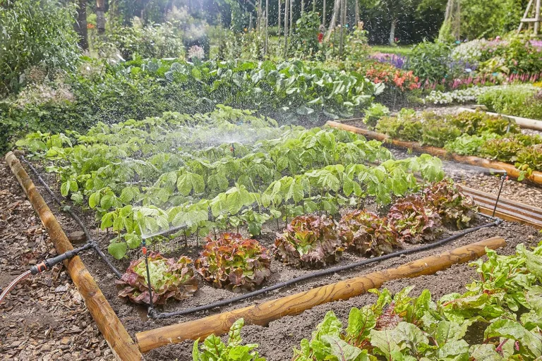 Gardena Micro-Drip-System Tropfbewässerung Set Gemüse-/Blumenbeet (60 m²): Starter-Set sofort einsatzbereit, wassersparendes Bewässerungssystem, einfache & flexible Verbindungstechnik (13450-20) – Bild 3