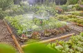 Gardena Micro-Drip-System Tropfbewässerung Set Gemüse-/Blumenbeet (60 m²): Starter-Set sofort einsatzbereit, wassersparendes Bewässerungssystem, einfache & flexible Verbindungstechnik (13450-20) - Thumbnail 4
