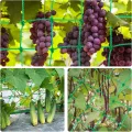 Ranknetz - Vaktop Gurkennetz mit 50 Pflanzenbinder, Rankgitter für Gurken, Pflanzennetz mit großer Maschenweite - Rankhilfe für Gurken, Tomaten, Kletterpflanzen (1.8m x 2.7m) - Thumbnail 10