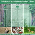 COSTWAY Foliengewächshaus mit 3-stöckigem Blumenregal, Tomatengewächshaus mit PE Gitterfolie, Treibhaus mit 2 aufrollbaren Türen, Tomaten Gewächshaus, Tomatenhaus für Topfpflanzen, 200x100x215cm, Grün - Thumbnail 4