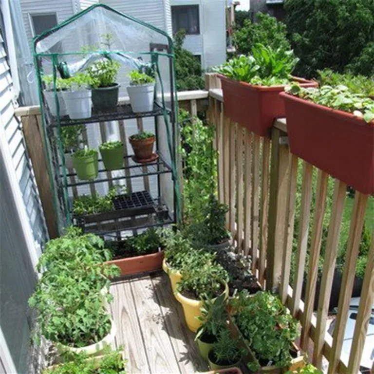 Dous Foliengewächshaus Winterfest Gartengewächshäuser Transparent PVC wasserdichte AntiUV Gewächshaus Haushaltspflanze Für Gemüse Tomaten Blumen ohne Eisenständer – Bild 9