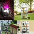 Dous Foliengewächshaus Winterfest Gartengewächshäuser Transparent PVC wasserdichte AntiUV Gewächshaus Haushaltspflanze Für Gemüse Tomaten Blumen ohne Eisenständer - Thumbnail 6