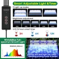 Upgrade Setzling Starter Tabletts mit Wachstumslicht, 80 Zellen Sämling Tablett mit Luftfeuchtigkeitskuppel, Mini Gewächshaus Anzucht Set für verwurzelte Setzlinge - Thumbnail 4