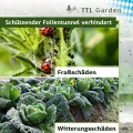TTL Garden Folientunnel Set Flex XL 32 mit PE Folie 10 x 2,5 m - 10 x Fiberglas Bögen & PE Anzuchtfolie 10x2,5m breit, Rund Bogen Abdeckung Frühbeet Hochbeet Gemüsebeet stabil langlebig & rostfrei - Thumbnail 9