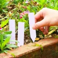 500 Stück Pflanzenschilder,Gartenetiketten Pflanzen Etiketten,Kunststoff Pflanzenetiketten Wetterfest,Garten Pflanzenschilder mit 2 Filzstiften für Kindergarten Topf Gartenpflanze Tags Pflanzen Marker - Thumbnail 4