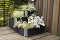 Upyard Stepped Bed - modernes Hochbeet aus Palettenrahmen - modulares, mehrstufiges Hochbeet aus Naturholz für Garten und Terrasse, 120x80x58,5, Schwarz - Thumbnail 5