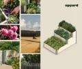 Upyard Stepped Bed - modernes Hochbeet aus Palettenrahmen - modulares, mehrstufiges Hochbeet aus Naturholz für Garten und Terrasse, 120x80x58,5, Naturholz - Thumbnail 9