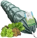 TTL Garden Quick&Easy Folientunnel 300x45x30cm mit PE Folie - sofort nutzbarer 3m Folien Tunnel mit Kordel, 7 Tunnelbögen Abdeckung Frühbeet Hochbeet Gemüsebeet, Wärme & Frostschutz für Pflanzen - Thumbnail 9