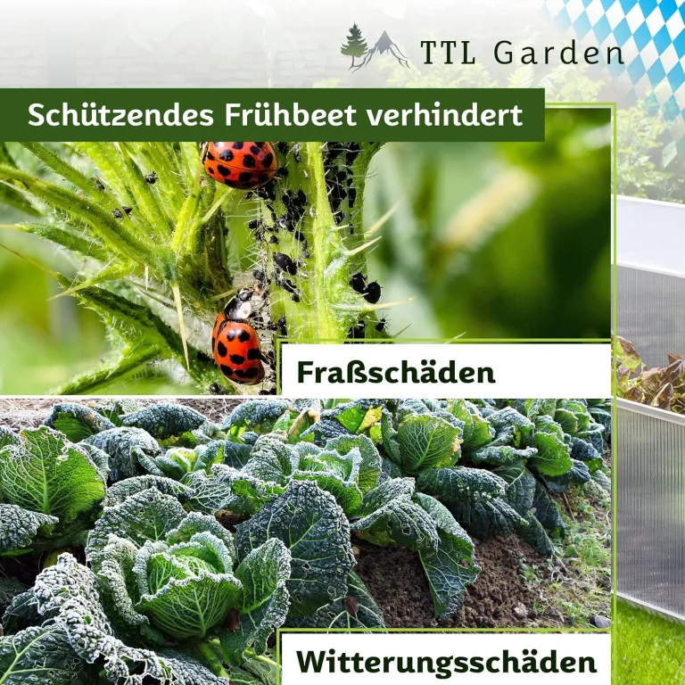TTL Garden Frühbeet Aufsatz 100x60x40cm Alu & Polycarbonat - Hochbeet Kasten Mini Gewächshaus Frühbeetkasten 100 cm lang 60 cm breit, Wärme & Schutz für Pflanzen im Frühjahr, Deckel einstellbar – Bild 8