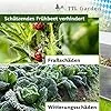 TTL Garden Frühbeet Aufsatz 100x60x40cm Alu & Polycarbonat - Hochbeet Kasten Mini Gewächshaus Frühbeetkasten 100 cm lang 60 cm breit, Wärme & Schutz für Pflanzen im Frühjahr, Deckel einstellbar - Thumbnail 3