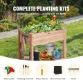 VEVOR Hochbeet Holz Pflanzkübel mit Ablage Blumenkasten 75kg Tragfähigkeit Garten Pflanzkasten Terrassen Gemüsebeet Gartenbeet Pflanzbeet 86x46x76cm ideal für den Anbau von Gemüse Obst Kräutern - Thumbnail 3
