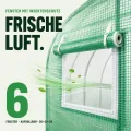 TOM Gewächshaus Foliengewächshaus Folientunnel 175g/m² extra stabil & langlebig – 4 Größen: 2x3m 3x4m 3x6m Gewächshaus mit Erdanker – 2 Türen – Fenster mit Insektenschutz – für Tomaten & Co. - Thumbnail 6