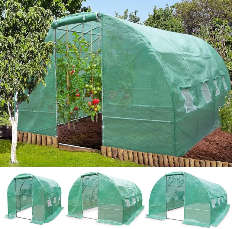 TOM Gewächshaus, Foliengewächshaus Folientunnel 175g/m² extra stabil & langlebig – 4 Größen: 2x3m 3x4m 3x6m Gewächshaus mit Erdanker – 2 Türen – Fenster mit Insektenschutz – für Tomaten & Co. – Bild 1