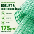 TOM Gewächshaus, Foliengewächshaus Folientunnel 175g/m² extra stabil & langlebig – 4 Größen: 2x3m 3x4m 3x6m Gewächshaus mit Erdanker – 2 Türen – Fenster mit Insektenschutz – für Tomaten & Co. - Thumbnail 3