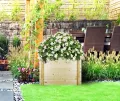 TIMBELA Hochbeet Holz - 78x38xH57 cm - Blumenbeet für Garten - Kräuterbeet - Pflanzkasten Holz - Hochbeet Balkon Garten Terrasse - Solid 28 mm Pine/Spruce Wood M612 - Thumbnail 7