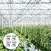 25 Stück Z-Clips für Gewächshausglasscheiben Gewächshausclips für Glas Edelstahl Gewächshaus Z-Clips Gewächshausfensterclips Glasscheibenbefestigungen Clips für Gewächshausglas Ersatzzubehör – Bild 2