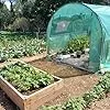 NATIV Foliengewächshaus | Tomaten Gewächshaus mit 6 Fenstern | Tomatenzelt aus extra Stabiler Gewächshausfolie | Tomatenhaus mit aufrollbarer Türe | Überwinterungszelt für Pflanzen 300 x 200 cm – Bild 2
