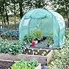 NATIV Foliengewächshaus | Tomaten Gewächshaus mit 6 Fenstern | Tomatenzelt aus extra Stabiler Gewächshausfolie | Tomatenhaus mit aufrollbarer Türe | Überwinterungszelt für Pflanzen 300 x 200 cm – Bild 3