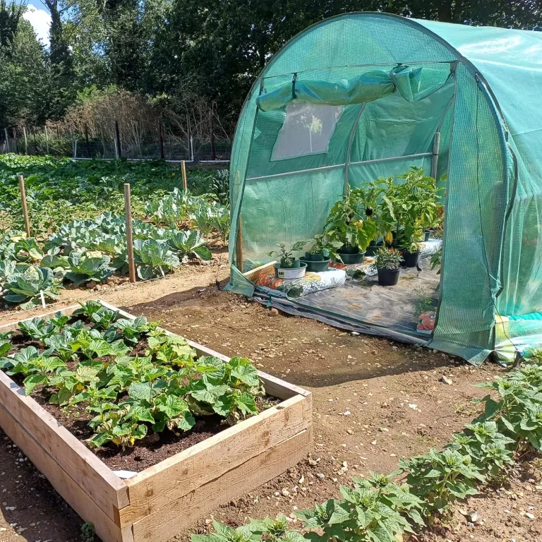 NATIV Foliengewächshaus | Tomaten Gewächshaus mit 6 Fenstern | Tomatenzelt aus extra Stabiler Gewächshausfolie | Tomatenhaus mit aufrollbarer Türe | Überwinterungszelt für Pflanzen 300 x 200 cm – Bild 5