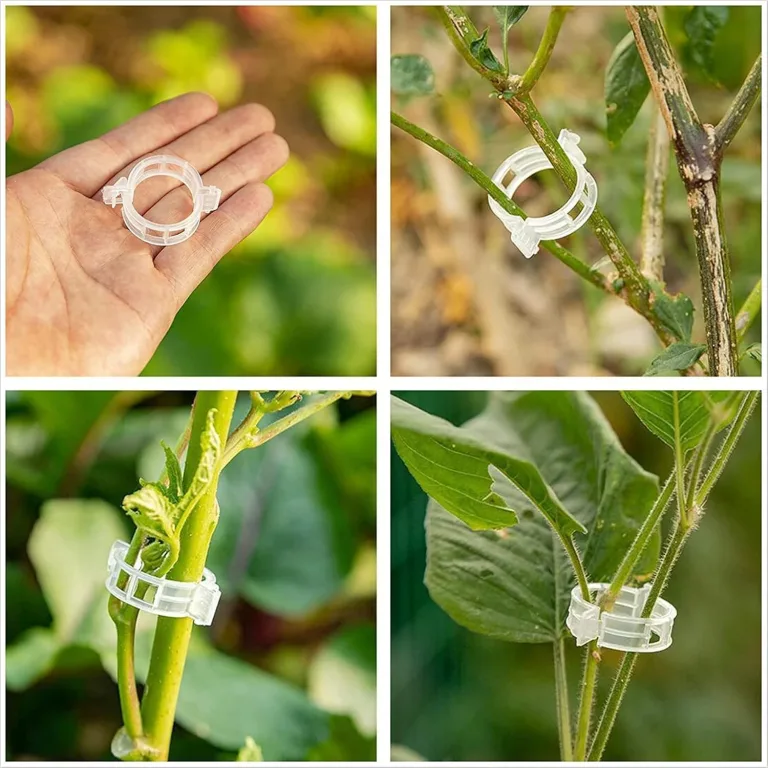 250 Stück Pflanzenclips,Tomatenclips Verbinden,Kunststoff Tomatenclips,Pflanzenklammern,Ranken Clips,Pflanzen Sicherung,Tomatenclips Verbinden Pfeffer Gurke Reben Ideal,für Pflanzen Sicherung – Bild 6