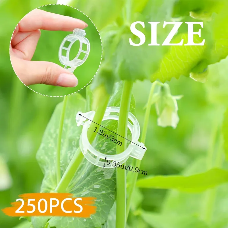 250 Stück Pflanzenclips,Tomatenclips Verbinden,Kunststoff Tomatenclips,Pflanzenklammern,Ranken Clips,Pflanzen Sicherung,Tomatenclips Verbinden Pfeffer Gurke Reben Ideal,für Pflanzen Sicherung – Bild 3