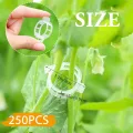 250 Stück Pflanzenclips,Tomatenclips Verbinden,Kunststoff Tomatenclips,Pflanzenklammern,Ranken Clips,Pflanzen Sicherung,Tomatenclips Verbinden Pfeffer Gurke Reben Ideal,für Pflanzen Sicherung - Thumbnail 3