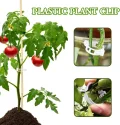 250 Stück Pflanzenclips,Tomatenclips Verbinden,Kunststoff Tomatenclips,Pflanzenklammern,Ranken Clips,Pflanzen Sicherung,Tomatenclips Verbinden Pfeffer Gurke Reben Ideal,für Pflanzen Sicherung - Thumbnail 5