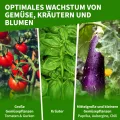 TTL Garden Foliengewächshaus 195 x 143 x 73 cm grün - Tomaten & Pflanzen Gewächshaus Treibhaus mit Gitter Schutzfolie, 2 Fenster mit Fliegengitter Bodenanker 6 Etagen + Regal Böden Winterfest - Thumbnail 6